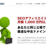 【中古ドメイン購入記】ザンワーズで中古ドメイン20個購入したレビュー